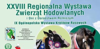 Podlaski Ośrodek Doradztwa Rolniczego w Szepietowie zaprasza na Wystawę Zwierząt Hodowlanych