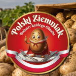 Polski ziemniak kontra młody z importu. Rząd pomoże rolnikom sprzedać nadwyżki