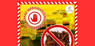 Ponad 15 ton suszonych maślaków zatrzymanych w porcie. Wykryto poważne uchybienia