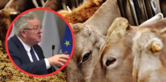 Siekierski: Zero tolerancji dla przemytników bydła! Walka z pryszczycą trwa