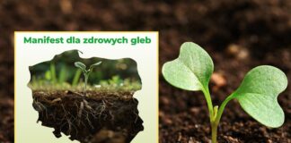 Manifest dla zdrowych gleb – wspólny głos na rzecz odpowiedzialnych i nowoczesnych praktyk uprawy gleby