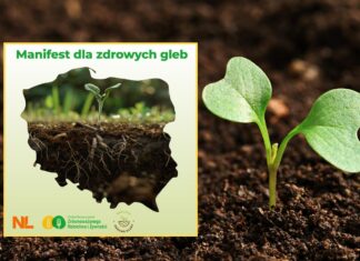 Manifest dla zdrowych gleb – wspólny głos na rzecz odpowiedzialnych i nowoczesnych praktyk uprawy gleby