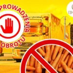 Nielegalna marchew z Rosji? Polskie służby prześwietlają podejrzany transport