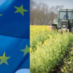 Komisja Europejska upraszcza politykę rolną. Mniej kontroli, więcej wsparcia