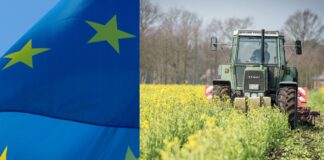 Komisja Europejska upraszcza politykę rolną. Mniej kontroli, więcej wsparcia
