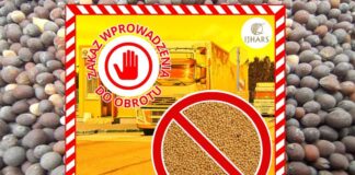 21 ton skażonej gorczycy zatrzymane na granicy