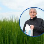 Znaczenie fosforu w prawidłowym żywieniu roślin