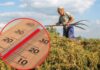 Afrykańskie upały w Polsce. Jak podczas prac rolnych chronić się przed słońcem?