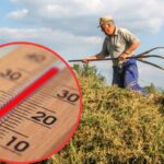 Afrykańskie upały w Polsce. Jak podczas prac rolnych chronić się przed słońcem?