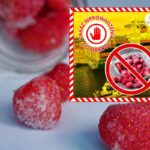 100 ton zepsutych truskawek z Egiptu zatrzymane na granicy. IJHARS zablokował import