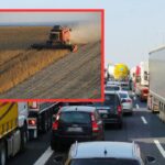 Rolnicy wściekli! Korki przez kontrole graniczne – zboże może zgnić na polu!