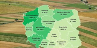 Rolnicy nie chcą kupować ziemi, wolą dzierżawę. Rekordowy rok