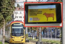 „Mięso pod ostrzałem”. Spór o kampanię w warszawskich tramwajach nabiera tempa