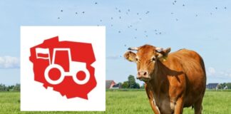 „Najpierw swoi rolnicy”. OOPR ostro o wsparciu ukraińskiego sektora mleczarskiego!