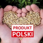 „Produkt Polski” na zbożu. Rolnicy chcą wyróżnić krajową produkcję