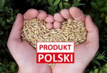 „Produkt Polski” na zbożu. Rolnicy chcą wyróżnić krajową produkcję