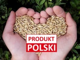 „Produkt Polski” na zbożu. Rolnicy chcą wyróżnić krajową produkcję