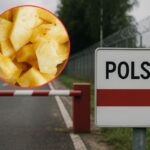 Towar z Azji nie trafi do sklepów. 13,5 TON ananasów zatrzymanych na granicy