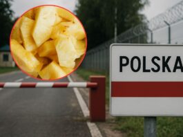 Towar z Azji nie trafi do sklepów. 13,5 TON ananasów zatrzymanych na granicy