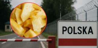 Towar z Azji nie trafi do sklepów. 13,5 TON ananasów zatrzymanych na granicy