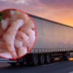 Ponad 20 ton krewetek zatrzymanych na granicy. Decyzja IJHARS z natychmiastowym skutkiem