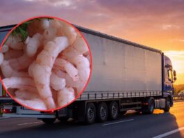 Ponad 20 ton krewetek zatrzymanych na granicy. Decyzja IJHARS z natychmiastowym skutkiem