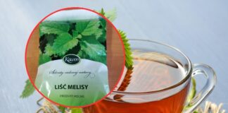 Salmonella w popularnej melisie! GIS pilnie ostrzega: tych partii nie pij