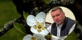 Przymrozki zniszczyły sady. Czarnek wzywa rząd do pilnej pomocy rolnikom