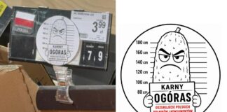 Karny Ogóras dla marketów. Ruszyła akcja przeciw fałszowaniu pochodzenia warzyw i owoców