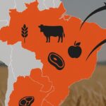 Marcin Wroński: Umowa Mercosur dobije polskie rolnictwo. Żadna klauzula nas nie uratuje