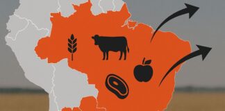 Marcin Wroński: Umowa Mercosur dobije polskie rolnictwo. Żadna klauzula nas nie uratuje