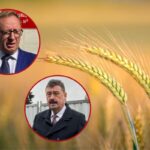 Dramatyczny spadek cen zbóż. PiS żąda interwencji rządu