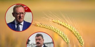 Dramatyczny spadek cen zbóż. PiS żąda interwencji rządu