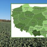 Dzierżawa wciąż na topie. KOWR podał ceny gruntów