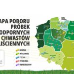 PROCAM i Agris42 – razem przeciwko chwastom! Nowe rozwiązanie dla rolników już dostępne