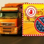 Jagody z Ukrainy zatrzymane. 20 ton zanieczyszczonych owoców nie wjechało do Polski!