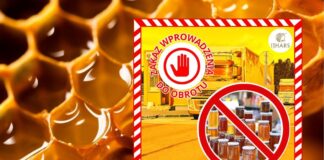 43 tony chińskiego miodu cofnięte z granicy. Co było nie tak?