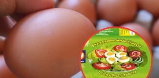 Uwaga! Groźna bakteria na skorupkach jaj. GIS ostrzega