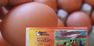 Salmonella w popularnych jajach! GIS ostrzega: Nie jedz, możesz się zatruć!