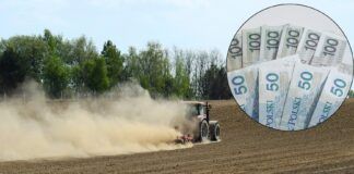 Suszowe 2023: Na konta 72 tys. rolników trafiło blisko 546 mln zł