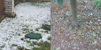 Sadownicy po gradobiciu nie zostaną bez wsparcia! Jest zapowiedź pomocy