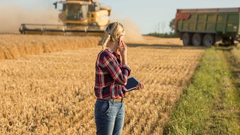 Kobiety w rolnictwie: Wybór między dzieckiem a krową