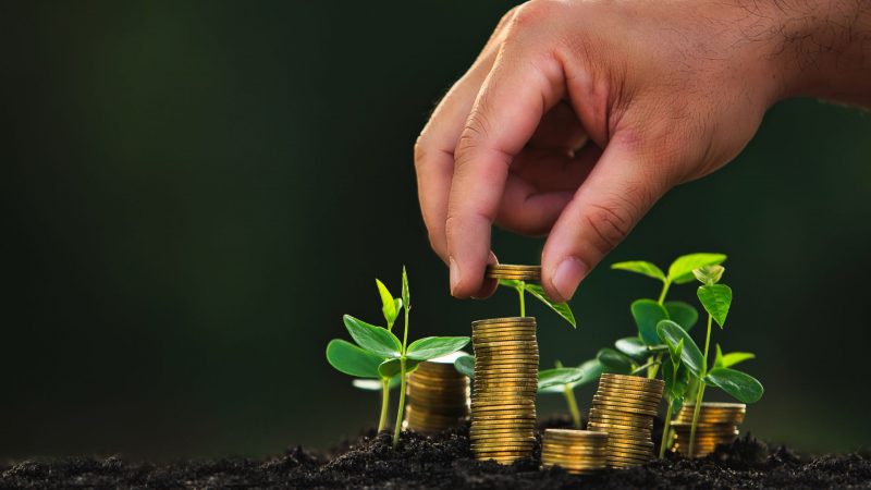 Wspólna Polityka Rolna wciąż zagrożona konfliktami interesów