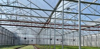 AGRO-SUR – od projektu po realizację. Kompleksowe podejście do budowy szklarni i bloków foliowych