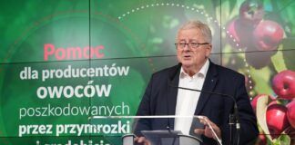Pomoc dla rolników poszkodowanych w wyniku przymrozków i gradobicia. Siekierski podał szczegóły