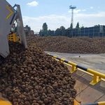 Ruszyła kampania cukrownicza 2026/2027. Plony buraków będą niższe niż rok temu