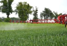 Jak utrzymać wysoką produktywność zbóż w Polsce? Innowacje w ochronie T1