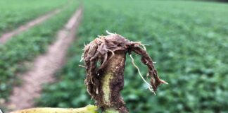 Rolnictwo się nie zatrzymuje! Nowy projekt „Top serwisy” od Timac Agro Polska