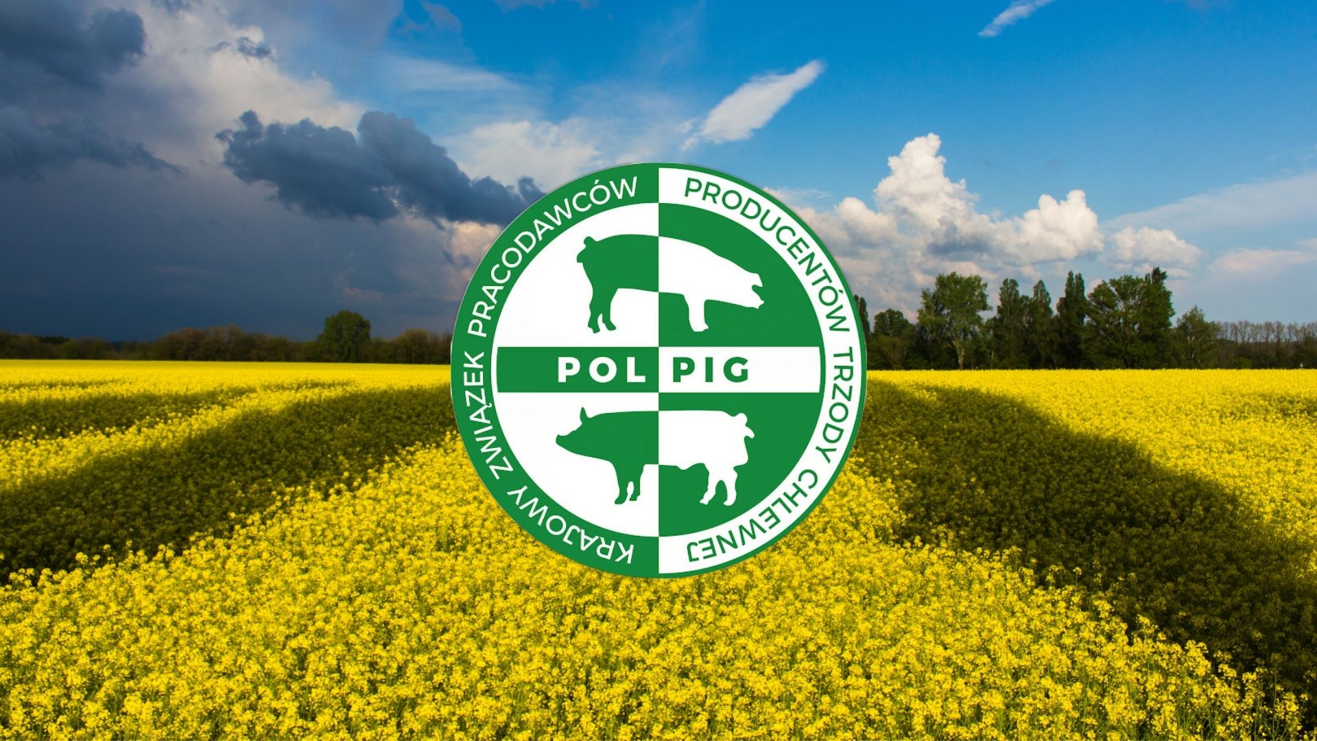 Uchodźcy z Ukrainy szansą dla polskiego rolnictwa