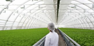 Portfolio Corteva zostanie wzbogacone o nowy biostymulator mikrobiologiczny